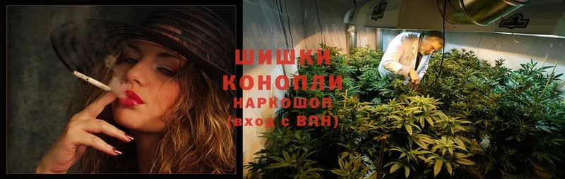 Конопля SATIVA & INDICA  Приволжск 